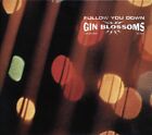 CD Gin Blossoms - Follow You Down