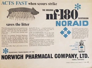 1966 Norwich Pharmacal Co. NF-180 Noraid Suspension Saves The Litter Print Ad - Bild 1 von 1