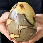 2.18LB Natural Turtle Shell Crystal Quartz Dinosaur Egg Mineral Therapy