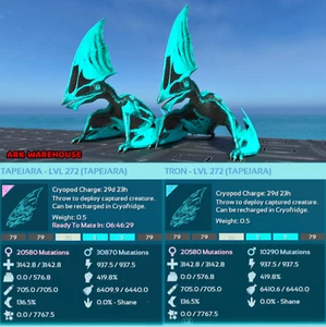Tron Tapejara Mating Pair - LVL 272 - Ark Survival Ascended Crossplay PVE - Picture 1 of 3