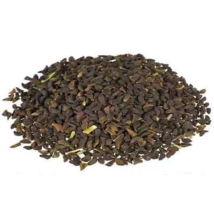 200 g Semi Harmala Balsamo Hindi Selvatico Peganum Harmal Erba Fresca Spedizione Gratuita - Foto 1 di 3