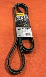 Continental 4081377 Elite Poly-V Belt With Quiet Channel Technology BRAND NEW! - Bild 1 von 3