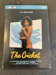The Cricket 1980 DVD Virna Lisi Italian Erotic Drama RARE OOP Region 0 - Picture 1 of 3