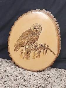 Handgefertigte Holz gebrannte Eule Plakette Kunst Wandhänger - Bild 1 von 4
