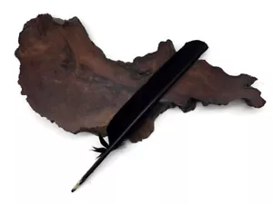 6 Pieces - Black Turkey Pointer Primary Wing Quill Feather Halloween Costume - Picture 1 of 10