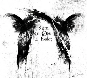 Sjodogg Som En Øks I Hodet CD Digipak Black Metal Beast of your demise - Bild 1 von 1