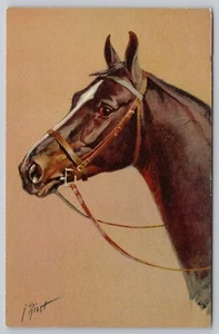 Stehli Swiss Art Postcard Thoroughbred Horse Jean-Marie Rivet (No. 152) Unposted - Picture 1 of 4