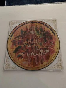 Vintage Walt Disney World 12” Vinyl Picture Disc Souvenir From 1973 - Picture 1 of 2