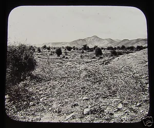 Linterna mágica de vidrio tobogán Gilgal C1890 Israel. - Imagen 1 de 2