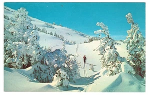 Cross Country Skiing Sierra Nevada Mountains Sierra County California Postcard - Picture 1 of 2
