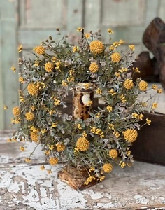 6" Fall Garden Bliss Candle Ring Wreath Mustard - Picture 1 of 3