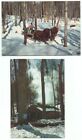 Maple Sugaring In Vermont Lot of 2 Postcards