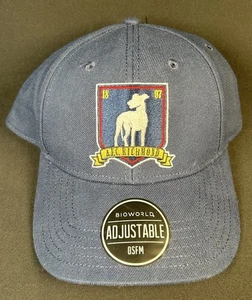 BioWorld Ted Lasso AFC Richmond Snapback Hat BELIEVE Soccer Adjustable OFSM New - Picture 1 of 8