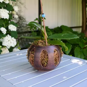 Handgefertigter Keramik Orchideenpflanzer mit Löchern. Großer Orchideentopf mit Löchern. - Bild 1 von 23