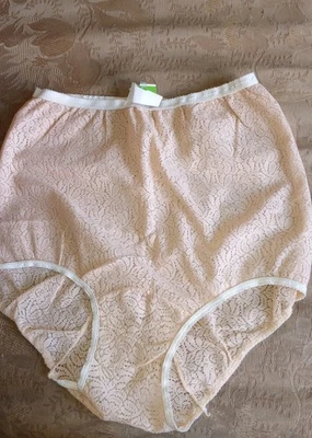 Bragas de bikini vintage Barbizon encaje abuela cintura alta talla 36 nailon talla Sissy Foto 1 de 4