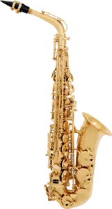 SAXOPHONE ALTO MIb LAITON VERNI SML A300 - Bild 1 von 1