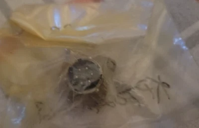 KPT02A10-6P WITT / Cannon Circular Connector D11 - Image 1 of 2