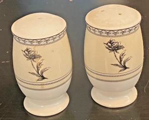 2 Unbranded ceramic/Porcelain Salt & Pepper Shakers Approx. 3.25" - Picture 1 of 5