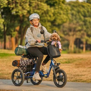 VIRIBUS Folding Electric Tricycle 350W 48V 10.4Ah for Adults 2 Seats Rear Basket - Picture 1 of 20