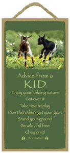 Advice from a Kid (baby Goat) Be wild and free Get Over...  10x5 Wood Sign E78 - Picture 1 of 5