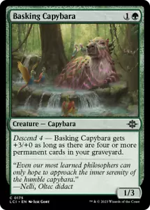 x1 Basking Capybara LCI MTG 175 COMMON M/NM 1x - Picture 1 of 1