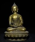 12.6" Antique Tibet Tibetan Buddhism temple Bronze gilt Shakyamuni Buddha statue