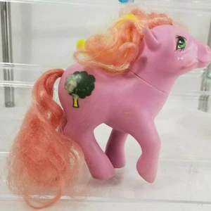 Vintage VTG 1984 My Little Pony G1 Bundle Magic Message WINDY MLP - Picture 1 of 7