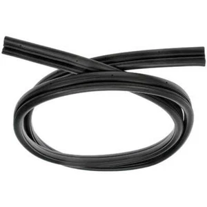 Tira de goma para clima - 158,50 pulgadas - Se adapta a Freightliner Classic - Imagen 1 de 1