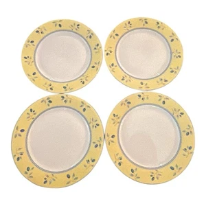 Royal Doulton Blueberry Dinner Plates * Set of 4 * Excellent Condition 10 1/4" - Picture 1 of 7