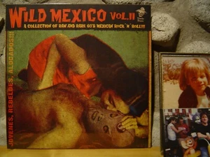 WILD MEXICO VOL. 2 LP/Raw And Rare 60's Mexican Rock 'N' Roll/Garage/Fuzz Punk - Bild 1 von 2