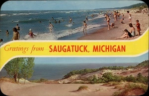Saugatuck,MI Lake Michigan Allegan County Postcard - Picture 1 of 2