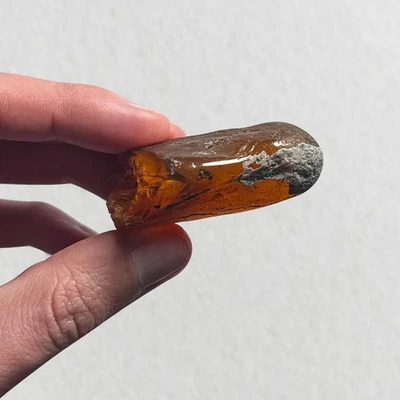 WASP in Burmese / Burmite amber fossil / 100% genuine amber  - Image 1 of 4