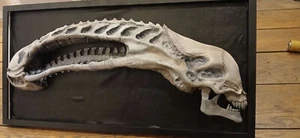 Alien xenomorph 3d printed framed skull display - Foto 1 di 4