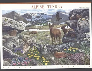 2007 US Scott #4198 41 Cent Alpine Tundra full sheet of 10 MNH - Bild 1 von 1