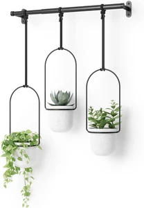 Umbra Triflora Hanging Planter for Window, Indoor Herb Garden, Set of 3, White/B - Picture 1 of 12