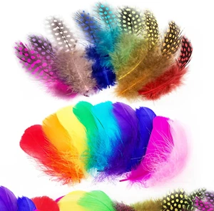 Craft Feathers 300Pcs Colorful Feathers for Craft DIY Wedding Home Party Decorat - Picture 1 of 12