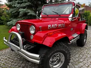 jeep wrangler Tuning Oldtimerzulassung - Bild 1 von 14