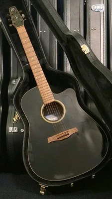 Seagull * Entourage * CW GT QI * Acoustic Electric * Cutaway with Case * Godin * - Image 1 of 4