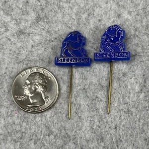 Lote de 2 Capricornio Steenbok Horóscopo Astrológico Holandés Vintage Palo Pin Insignia - Imagen 1 de 3