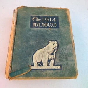 Vintage Yearbook University of California Berkley 1914 Blue and Gold - Picture 1 of 22