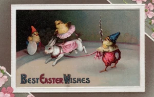 191 Postcard Easter Anthropomorphic Chicks Ridding Bunny Rabbit Circus - Picture 1 of 3