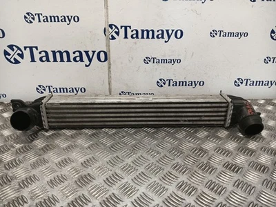 1751850690402 INTERCOOLER / PA66GF30 / 1175837 PER MINI MINI COUNTRYMAN R60 ON - Immagine 1 di 4