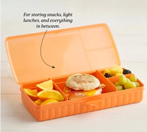 Tupperware Lunch N Things Divided Hinged Container Orange New - Picture 1 of 3