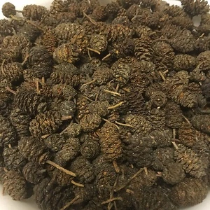 BOGUES d'Aulne ~200stk. (=100gramm) AULNE GLUTINEUX,valeur de PH - Bild 1 von 5
