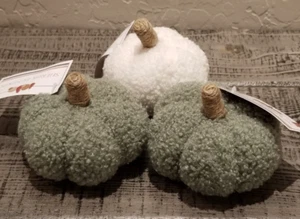 2023 Target Bullseye 3 Mini Sherpa Pumpkins Fall Green White w/Jute Stems NEW - Picture 1 of 4