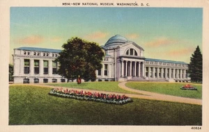 Postkarte National Museum of Natural History Washington DC Smithsonian um 1940 - Bild 1 von 2