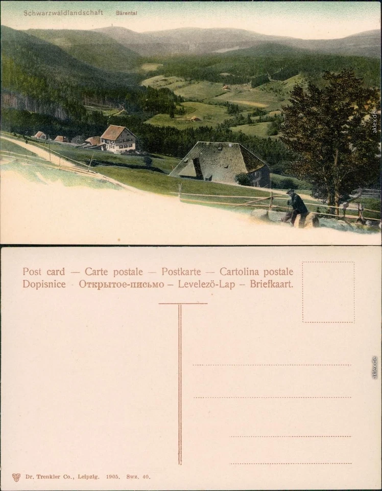 Ansichtskarte Bärental-Feldberg Partie im Bärental 1905 - Bild 1 von 3