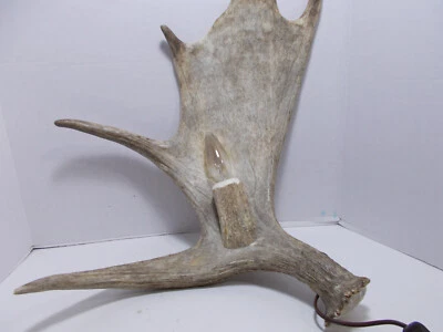 Moose Antler Wall Sconce Light - Image 1 of 4