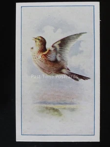 No.16 SKYLARK - Birds (Series of 25) by P.J. Carroll & Co 1939 - Picture 1 of 1