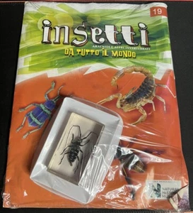 Insetti da tutto il mondo n.19 - Picture 1 of 2
